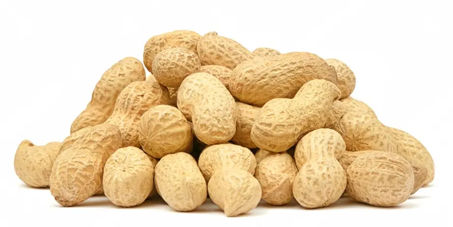 raw peanuts