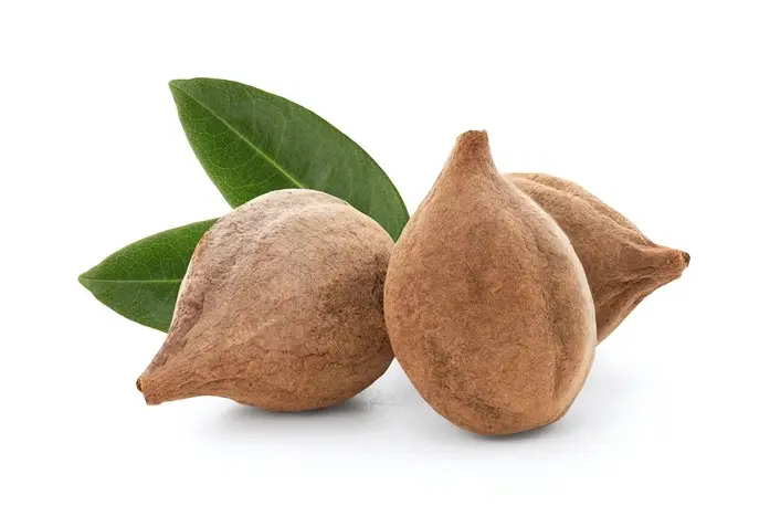 triphala