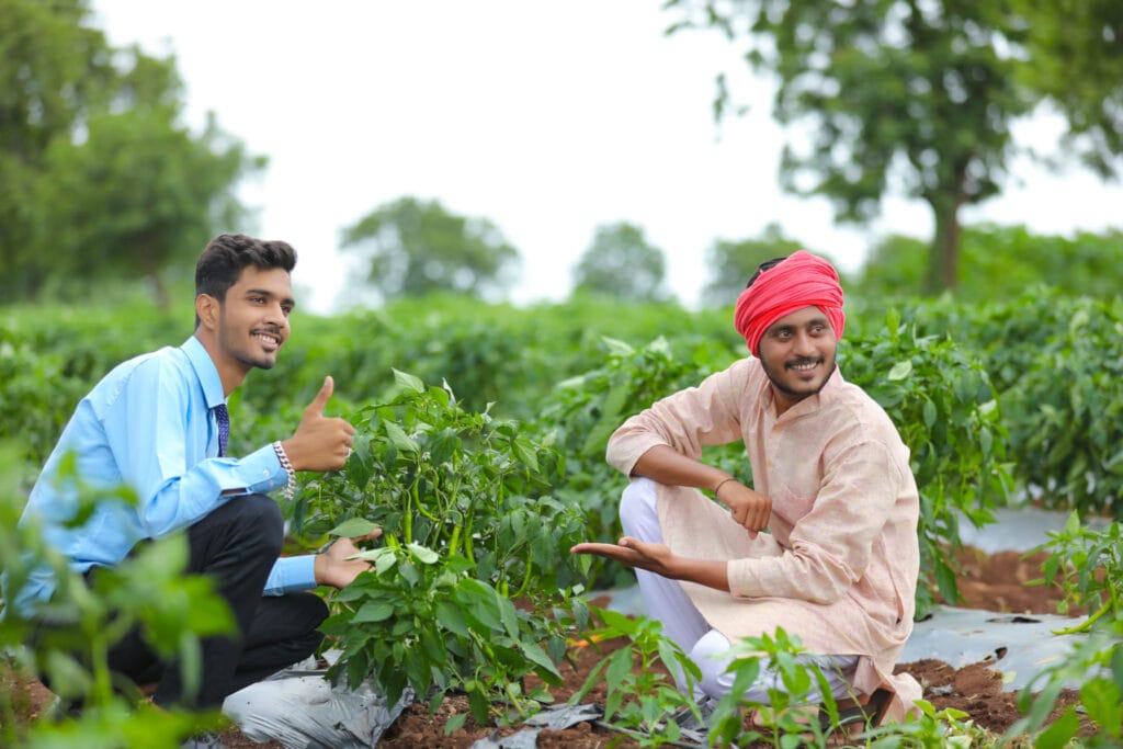 young indian agronomist standing with farmer at green chilly field